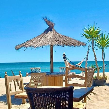 T3 Grande Terrasse Bord De Mer Le Barcarès Eksteriør billede
